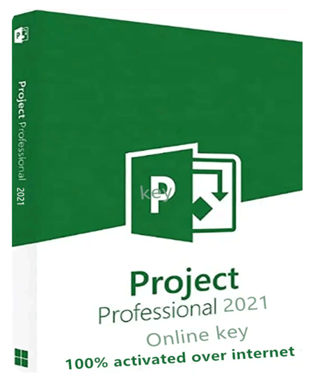 Microsoft Project 2021 Professional