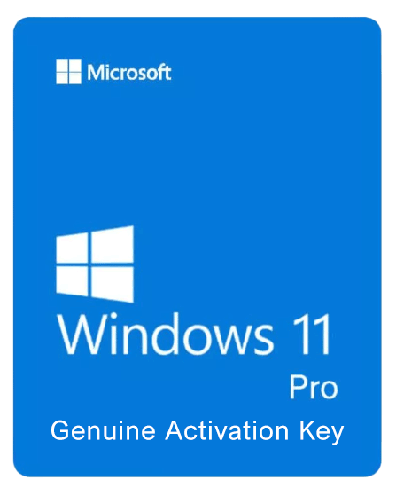 Windows 11 Professional License Key