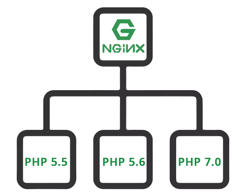 MULTI PHP-FPM